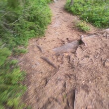 Aleksei Grabtchak - Meikon kierros