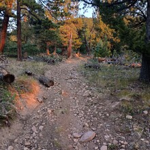 Olga King - Rainbow Trail (CO)