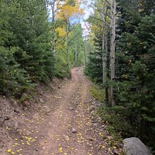 Olga King - Rainbow Trail (CO)