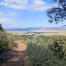 Olga King - Rainbow Trail (CO)
