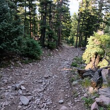 Olga King - Rainbow Trail (CO)