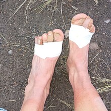 Olga King - Rainbow Trail (CO)