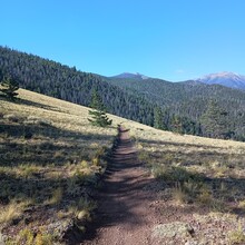 Olga King - Rainbow Trail (CO)