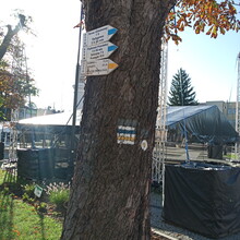 Kamil Mackiewicz - Szlak Trzech Pogórzy