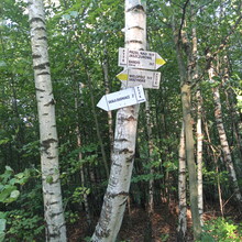 Kamil Mackiewicz - Szlak Trzech Pogórzy