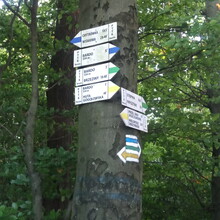 Kamil Mackiewicz - Szlak Trzech Pogórzy