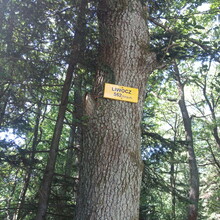 Kamil Mackiewicz - Szlak Trzech Pogórzy