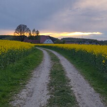 Jelle Hoff - Hermannsweg (Germany)