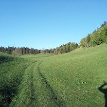 , Julien Pasquier - Grande Traversée du Jura (GTJ) (France)
