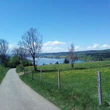 , Julien Pasquier - Grande Traversée du Jura (GTJ) (France)