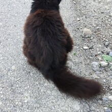 Tadhg Sheehan - Seeuferweg Hallwilersee