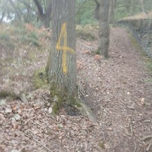 Andrew Waddington - Brighouse Boundary Walk (United Kingdom)