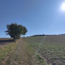 Corinna Hoose - Tour bei Weingarten (WG1, Kraichgau-Stromberg)