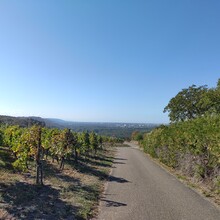 Corinna Hoose - Tour bei Weingarten (WG1, Kraichgau-Stromberg)