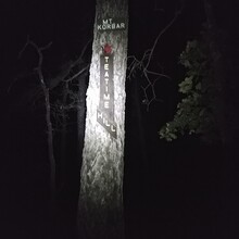 Sarah Liebowitz - Batona Trail (NJ)
