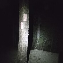 Sarah Liebowitz - Batona Trail (NJ)
