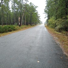 Sarah Liebowitz - Batona Trail (NJ)