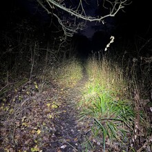 Ben Morris - St Edmund Way