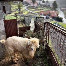 Michael Whittemore, Caitlin Ellenby - Camino Natural de las Cumbres de La Gomera (GR131) (Canary Islands)