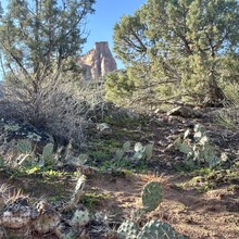 Brent Herring - Colorado National Monument 10 Canyon Traverse (CO)