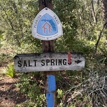 Aryan Rochon - Bear and Boar 444