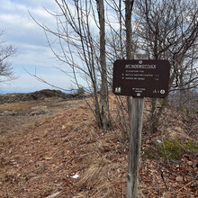 Maia Buckingham - Long 7 Sisters 22 (MA)