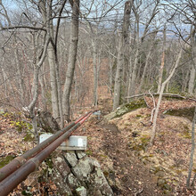 Maia Buckingham - Long 7 Sisters 22 (MA)