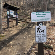 Maia Buckingham - Long 7 Sisters 22 (MA)