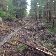 Robin Johansson - Östgötaleden: Vikbolandet