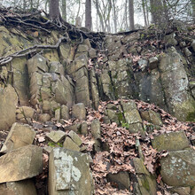 Maia Buckingham - Long 7 Sisters 22 (MA)