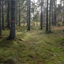 Robin Johansson - Östgötaleden: Vikbolandet