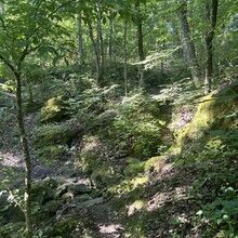 Antonio DeRose - Binder Park Trails Challenge (MO)