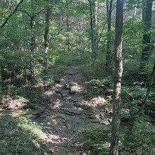 Antonio DeRose - Binder Park Trails Challenge (MO)