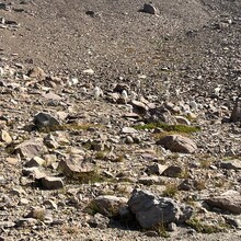 Rick Kneedler - Goat Rocks Peak Tour