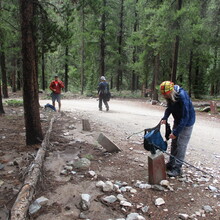 Marcy Beard, John Beard, Art Cook, Robyn Cantor - Mt Yale 360 (CO)