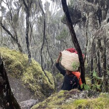 Lindsey Churchill (aka Bell), Kelly Saunders, Dagne Taylor, Stuart Holmes, Joseph Mrope, Gaudence Lekule, Victor Oisso, Razack Buu - Kilimanjaro (Tanzania)
