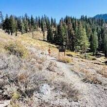 Holly Ryerson - PCT CA Section K - Echo Lake to Hwy 80