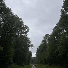 Philippe Coutu-Hénault - Traversée du Parc des Laurentides (Trail)