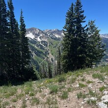 Conor Callahan - Upper Big Cottonwood Canyon Traverse