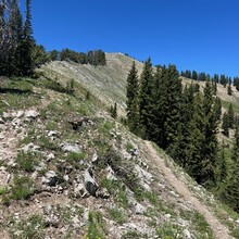 Conor Callahan - Upper Big Cottonwood Canyon Traverse