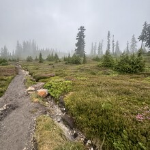 Daniil Oxyuk - Mount Baker (WA)