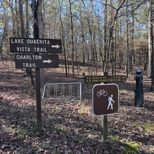 Mandy Ferguson - Lake Ouachita Vista Trail (AR)