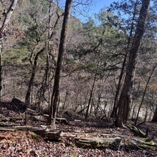 Mandy Ferguson - Lake Ouachita Vista Trail (AR)