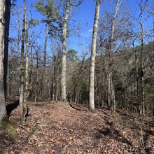 Mandy Ferguson - Lake Ouachita Vista Trail (AR)