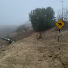 Bradley English - Los Angeles County: Schabarum-Skyline Trail (CA)