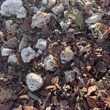 Mandy Ferguson - Lake Ouachita Vista Trail (AR)