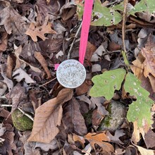 Mandy Ferguson - Lake Ouachita Vista Trail (AR)