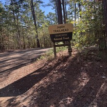 Mandy Ferguson - Lake Ouachita Vista Trail (AR)