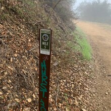 Bradley English - Los Angeles County: Schabarum-Skyline Trail (CA)