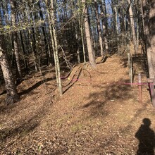 Mandy Ferguson - Lake Ouachita Vista Trail (AR)